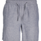 JPSTJAIDEN Shorts - Faded Denim